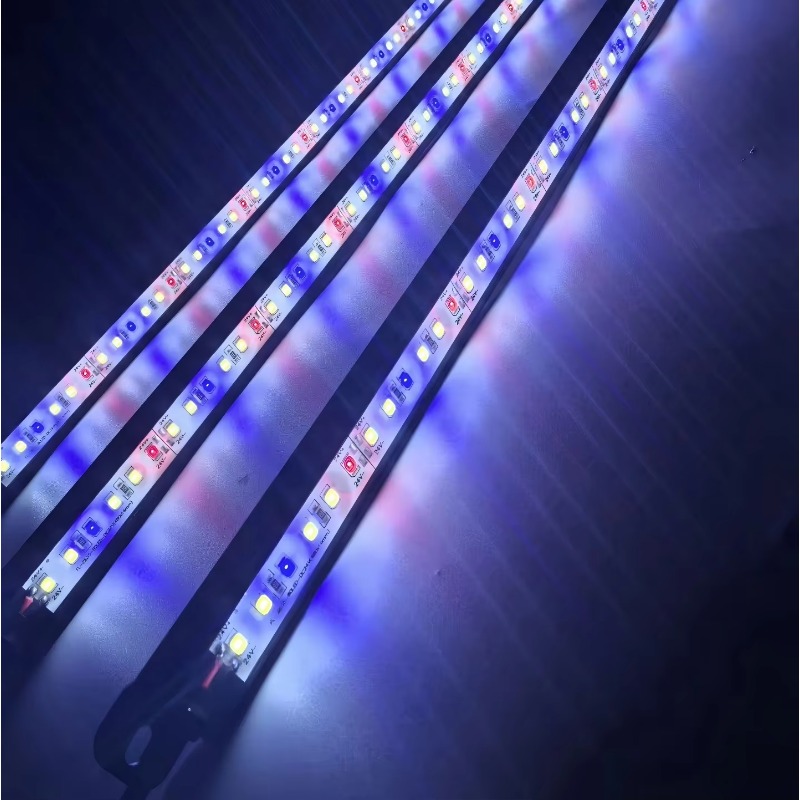 IP68 Waterdichte LED Aquarium  - Aquarium Blue Marine Reef recensie en prijs