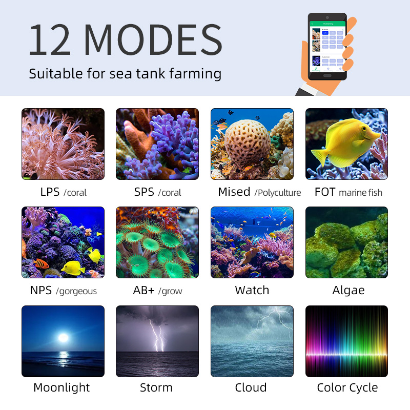 ZXY Hot Koop WEEKAQUA Z250 Z40 - Aquarium Blue Marine Reef recensie en prijs